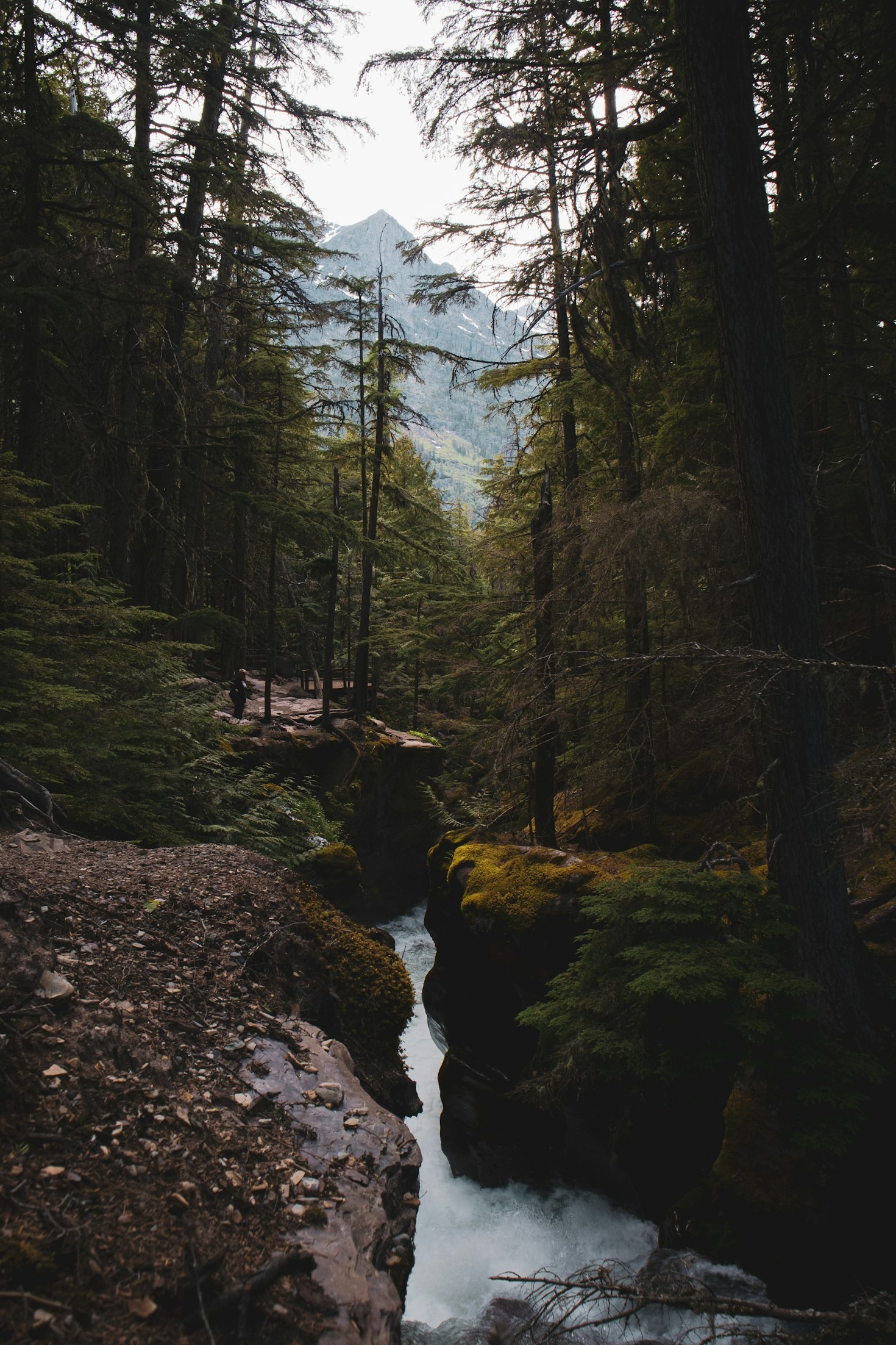 Ein Tag im Wald: Erlebnisse und Erkenntnisse