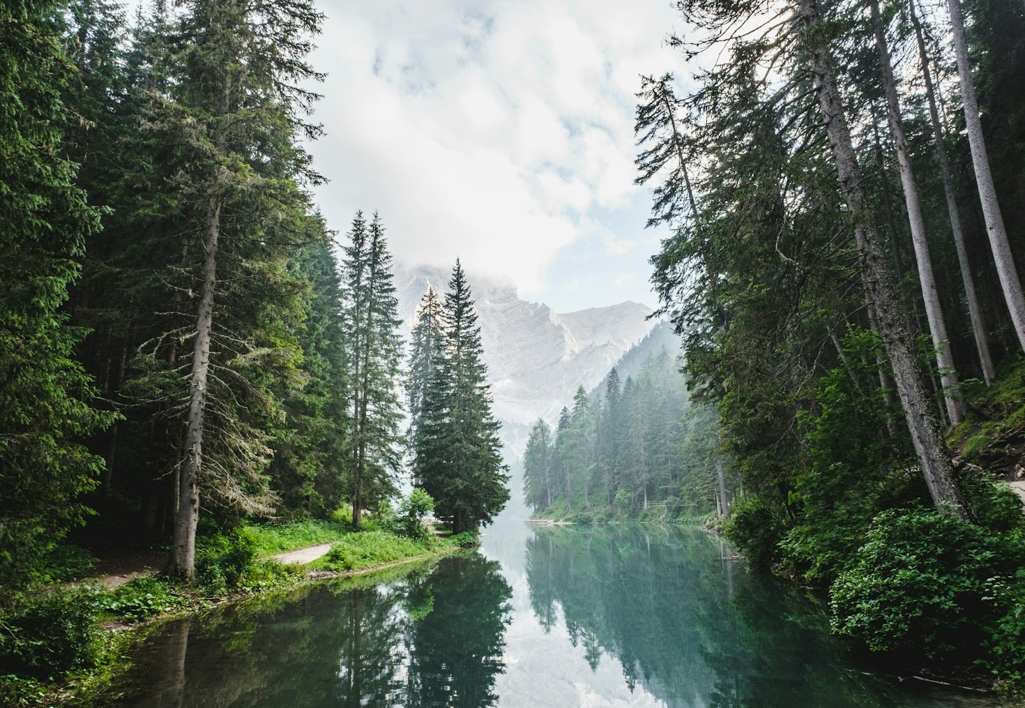 Die Verbindung zwischen Mensch und Natur entdecken