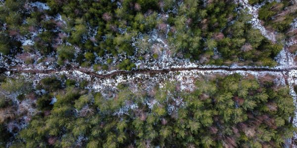 Aerial view of a winter forest with a winding pathway in Bad Herrenalb, Germany.